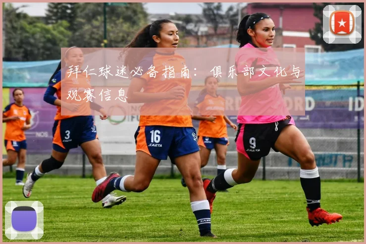 拜仁球迷必备指南:俱乐部文化与观赛信息