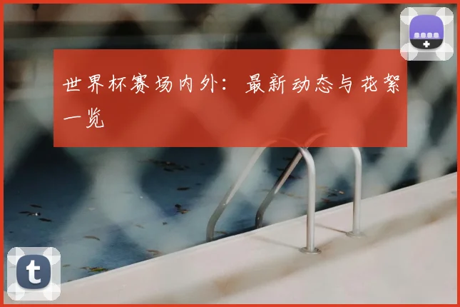 世界杯赛场内外：最新动态与花絮一览
