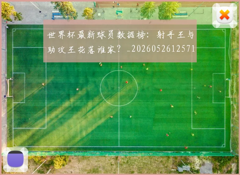 世界杯最新球员数据榜:射手王与助攻王花落谁家?_20260526125718