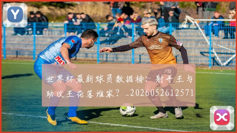 世界杯最新球员数据榜:射手王与助攻王花落谁家?_20260526125718